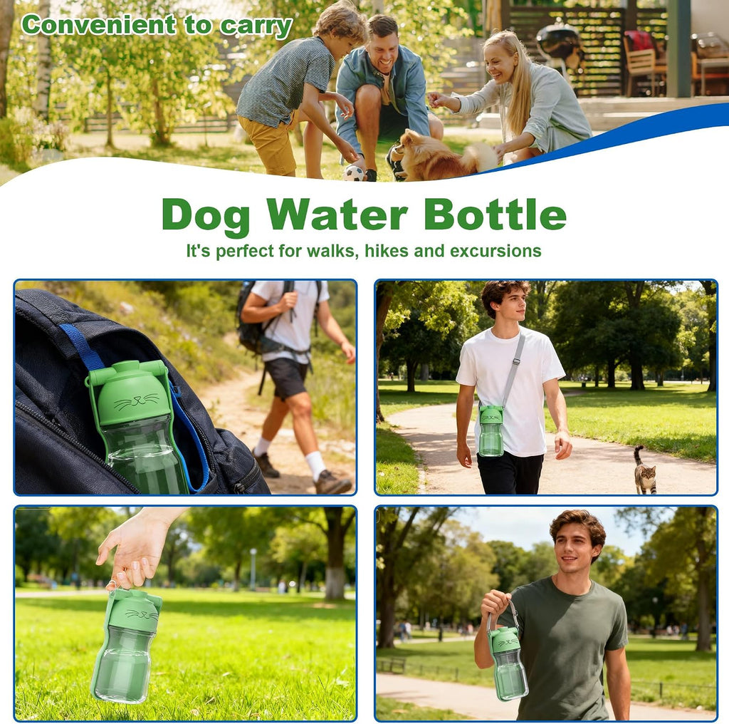 Paw & Miles Foldable Travel Water Bottle — 16.9 oz