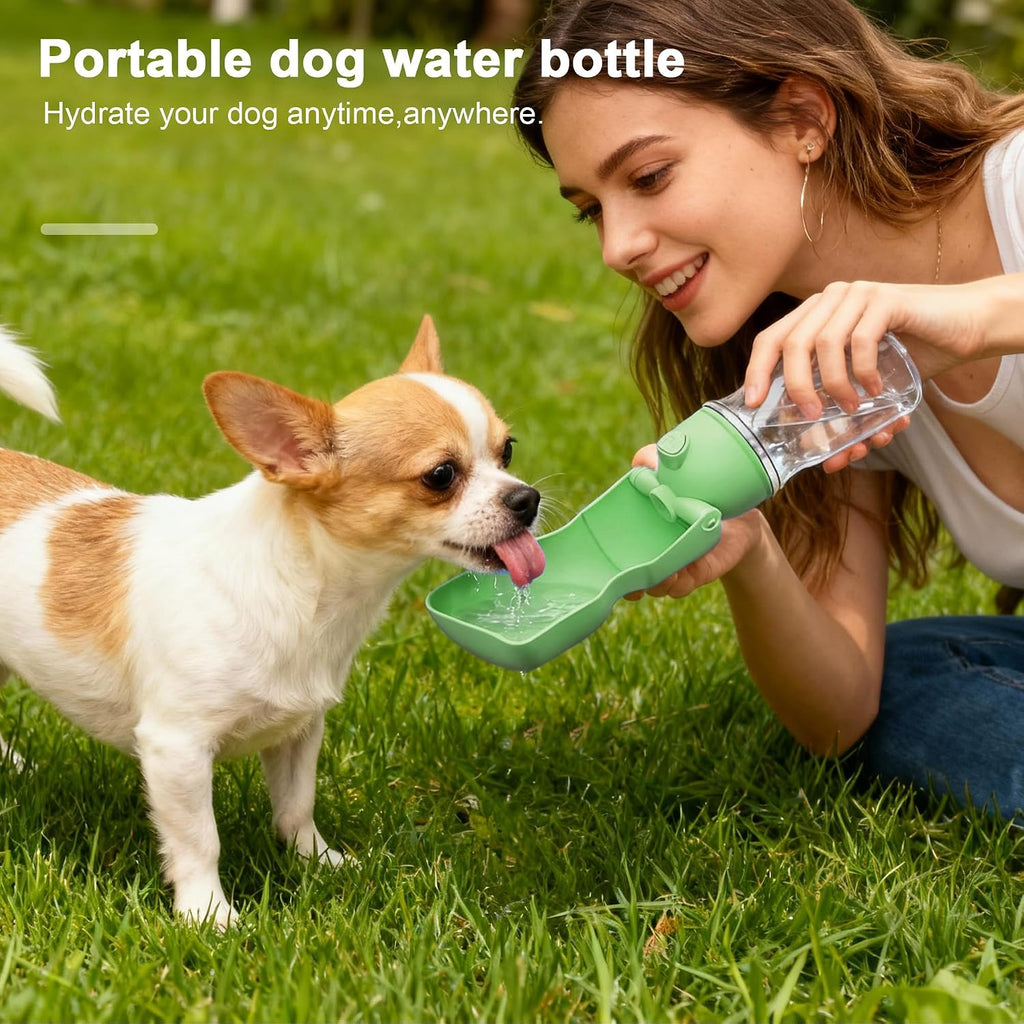 Paw & Miles Foldable Travel Water Bottle — 16.9 oz